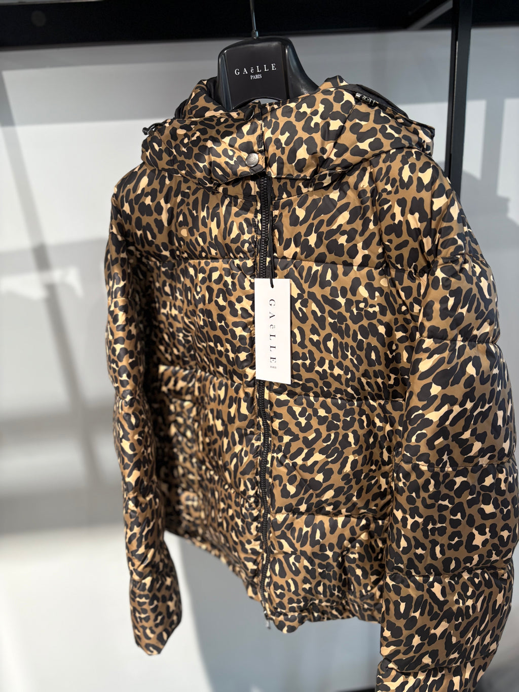 GIUBBINO MACULATO GAELLE