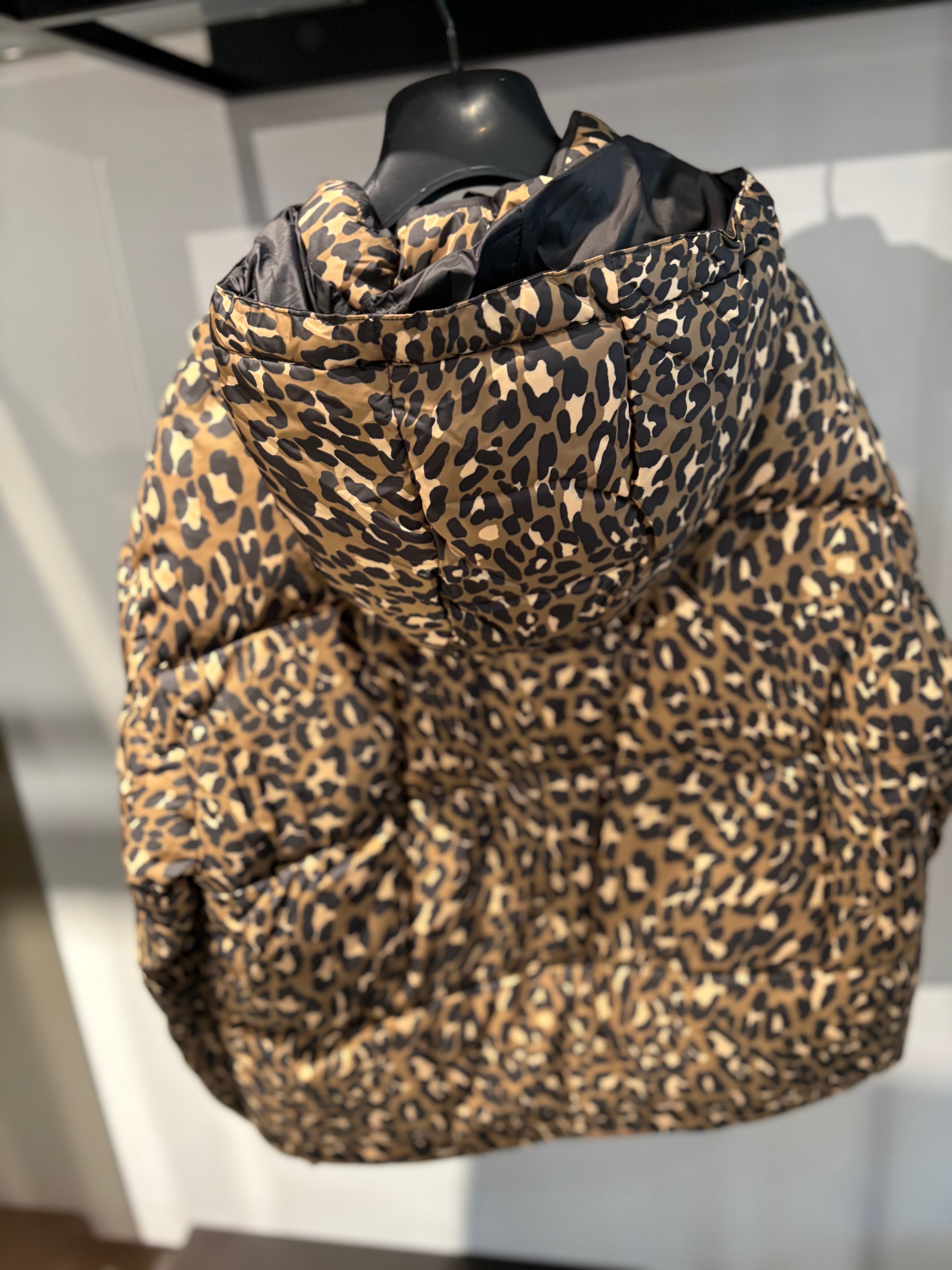 GIUBBINO MACULATO GAELLE